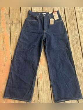 Levi's dark wash cinch baggy Wide-Leg Jeans